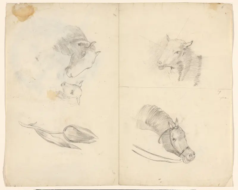 Schetsblad met schapen, een paard en een tulp Wall Art by Unknown - High-Resolution Digital Print