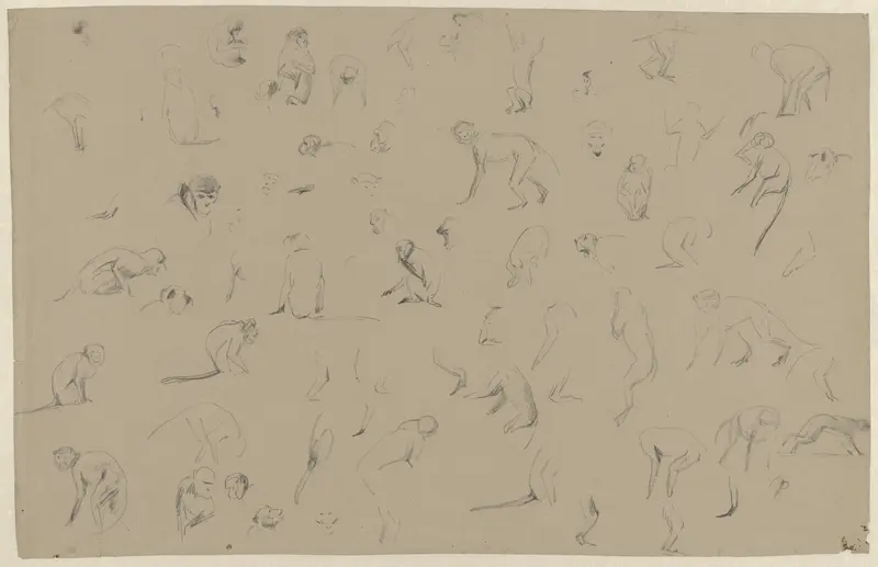 Schetsblad met studies van apen Wall Art by Guillaume Anne van der Brugghen - High-Resolution Digital Print