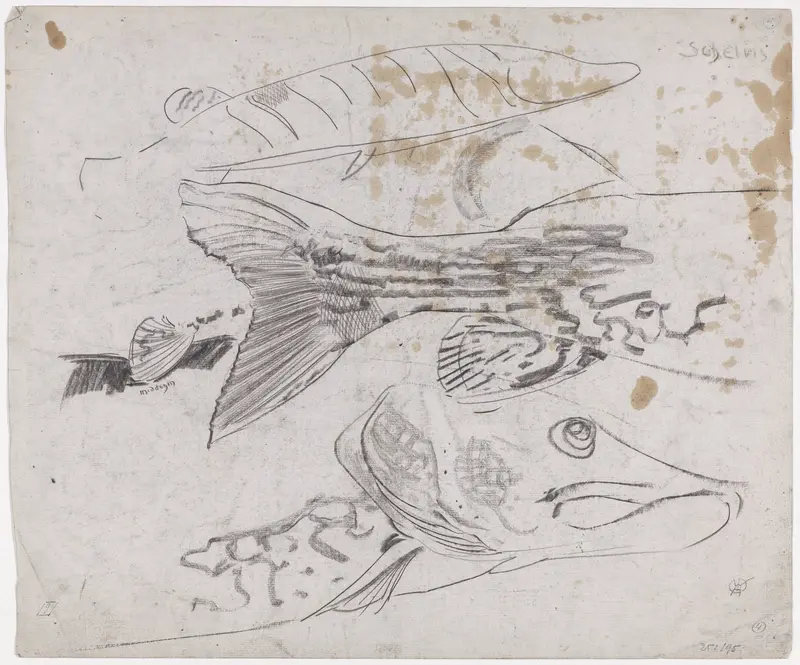 Schetsblad met studies van een snoek Wall Art by Gerrit Willem Dijsselhof - High-Resolution Digital Print