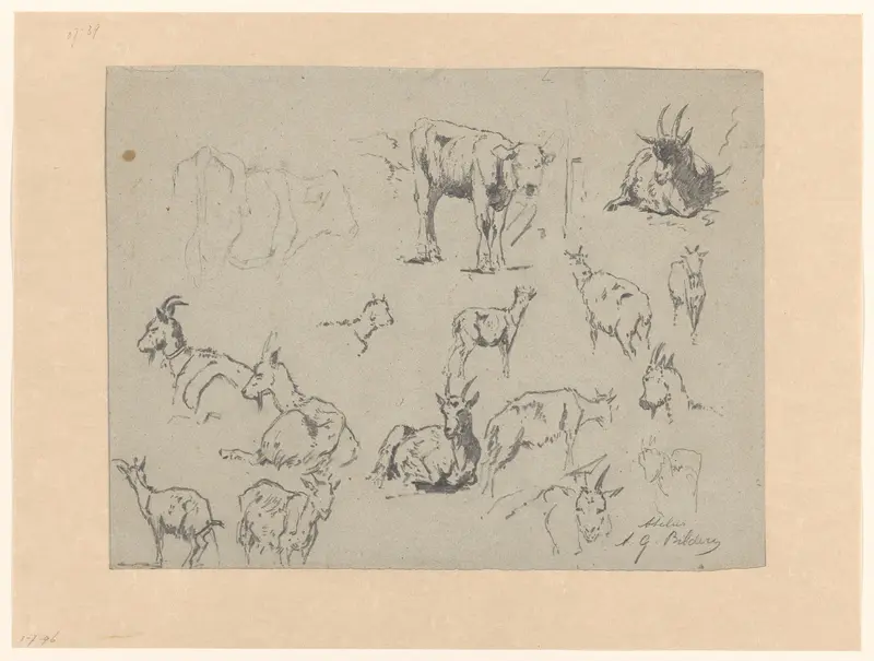 Schetsblad met studies van geiten en twee koeien Wall Art by Gerard Bilders - High-Resolution Digital Print