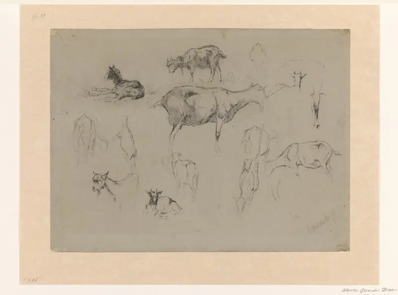 Schetsblad met studies van geiten Wall Art by Gerard Bilders - High-Resolution Digital Print