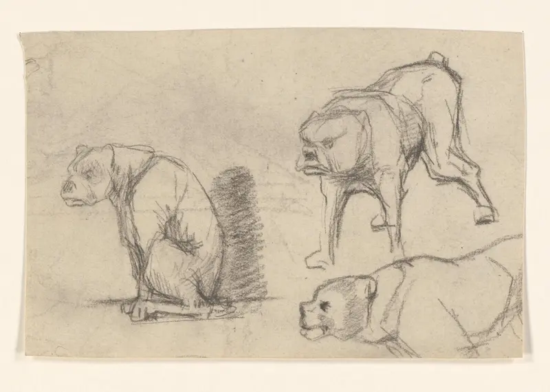 Schetsblad met studies van honden Wall Art by Unknown - High-Resolution Digital Print