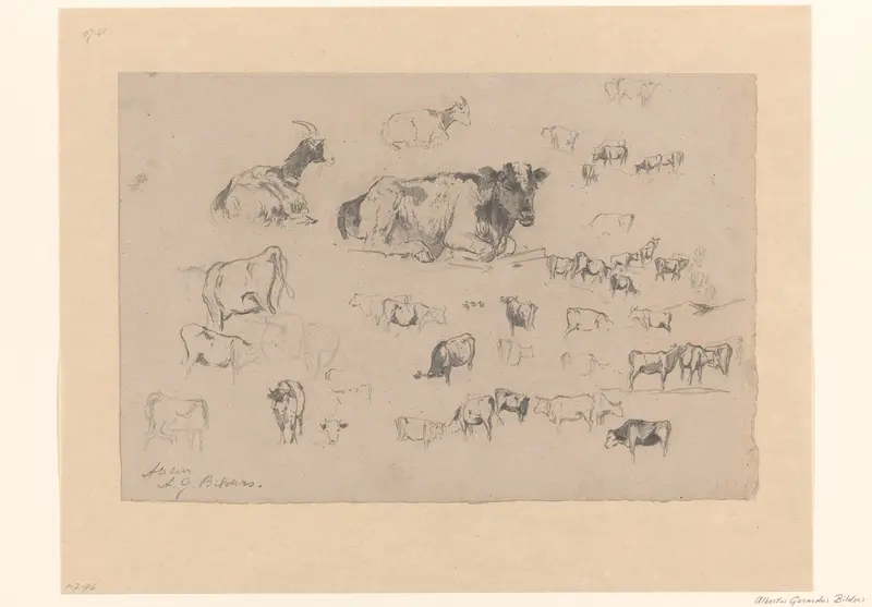 Schetsblad met studies van koeien en twee geiten Wall Art by Gerard Bilders - High-Resolution Digital Print