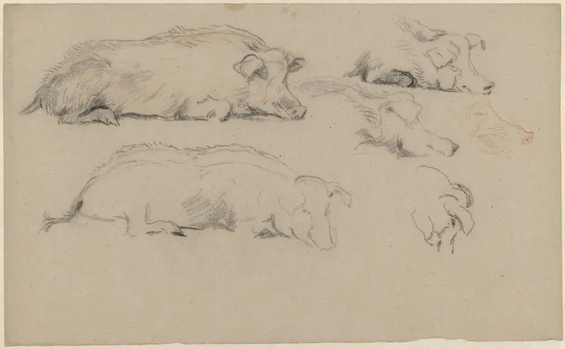 Schetsblad met studies van liggende varkens Wall Art by Guillaume Anne van der Brugghen - High-Resolution Digital Print