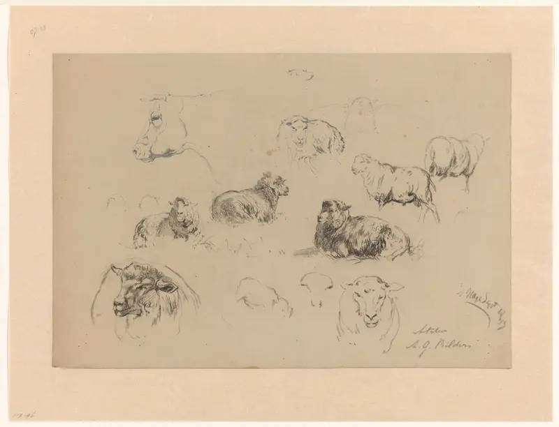 Schetsblad met studies van schapen en een koeienkop Wall Art by Gerard Bilders - High-Resolution Digital Print