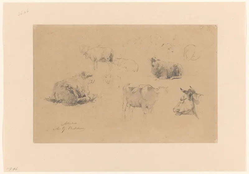 Schetsblad met studies van schapen en koeien Wall Art by Gerard Bilders - High-Resolution Digital Print