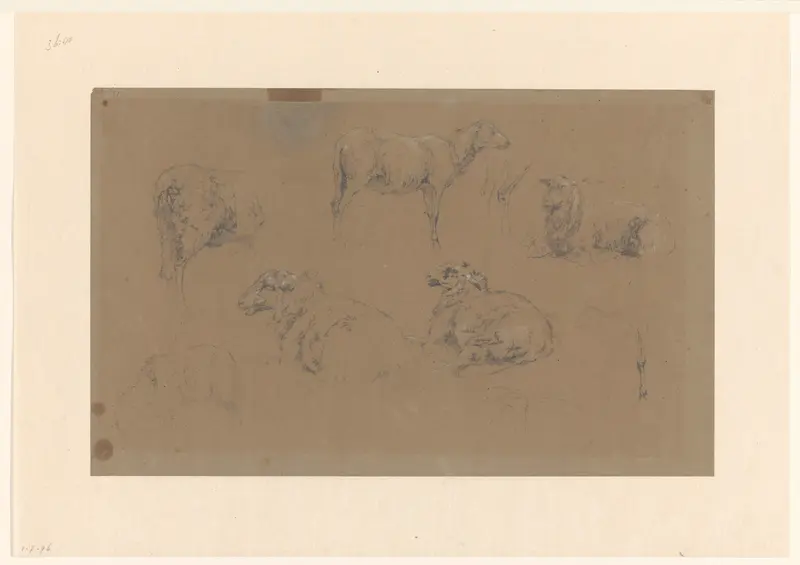 Schetsblad met studies van schapen Wall Art by Gerard Bilders - High-Resolution Digital Print