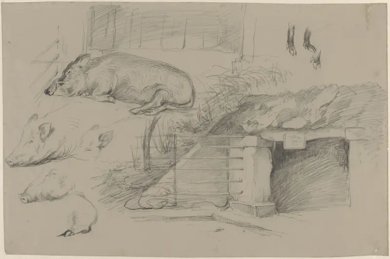 Schetsblad met studies van varkens in het wilde zwijnspark in Artis Wall Art by Guillaume Anne van der Brugghen - High-Resolution Digital Print
