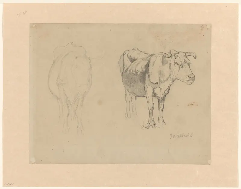 Schetsblad met twee studies van koeien Wall Art by Gerard Bilders - High-Resolution Digital Print