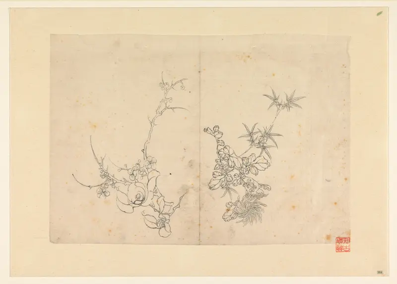 Schetsblad met wilde roos en een chrysant Wall Art by anonymous - High-Resolution Digital Print
