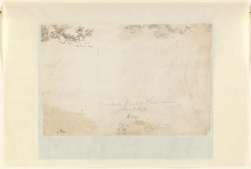 Schetsen van bomen of gebladerte Wall Art by Unknown - High-Resolution Digital Print