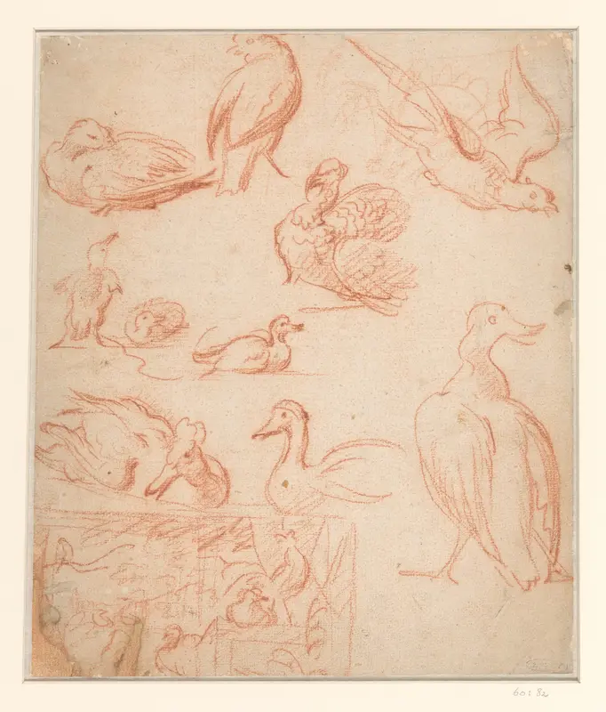 Schetsen van een compositie en verschillende vogels Wall Art by Melchior d' Hondecoeter - High-Resolution Digital Print