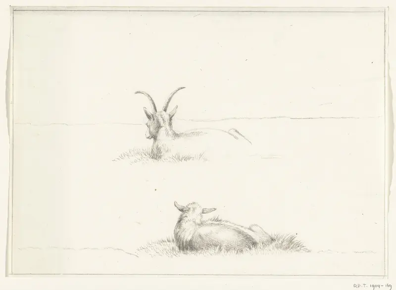Schetsen van een liggende geit en een schaap, van achteren Wall Art by Jean Bernard - High-Resolution Digital Print