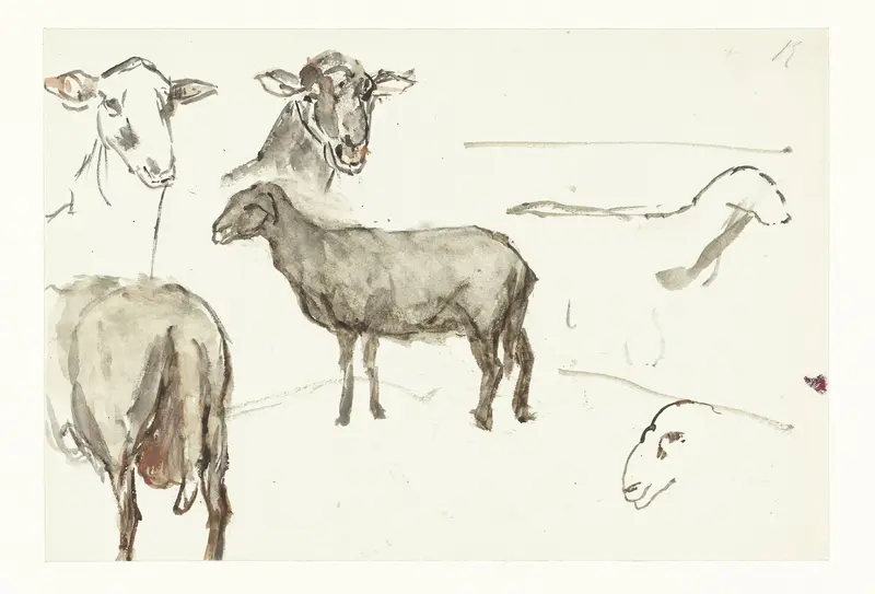 Schetsen van schapen Wall Art by Sientje Mesdag-van Houten - High-Resolution Digital Print