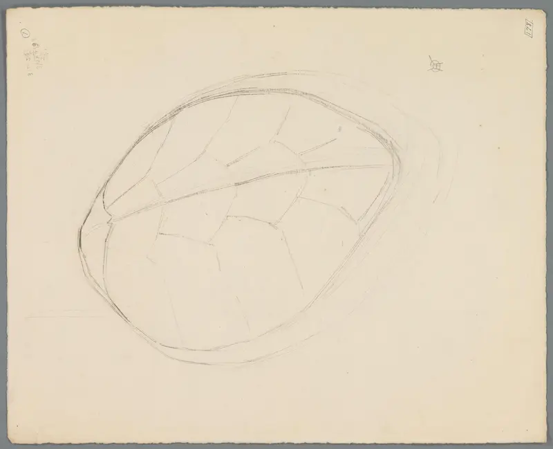 Schild van een zeeschildpad Wall Art by Unknown - High-Resolution Digital Print