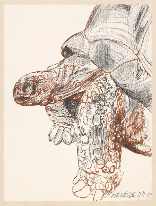 Schildpad Wall Art by Erik Andriesse - High-Resolution Digital Print