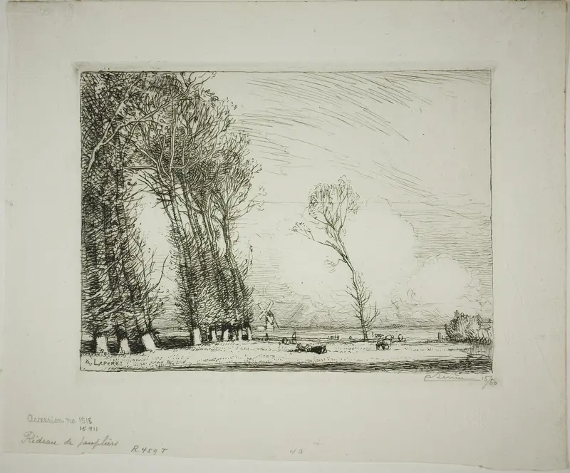 Screen of Poplars