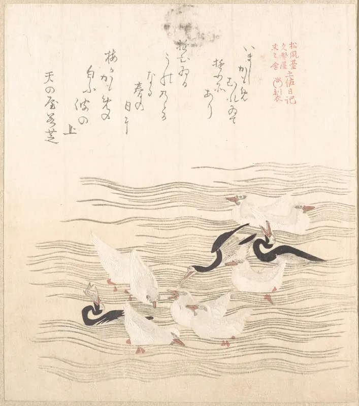 Sea-Gulls Playing on the Water