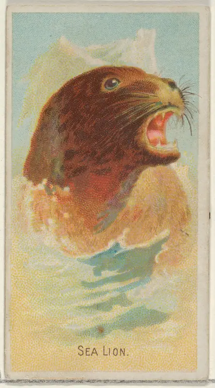 Sea Lion, from the Wild Animals of the World series (N25) for Allen & Ginter Cigarettes Wall Art by Allen & Ginter - High-Resolution Digital Print