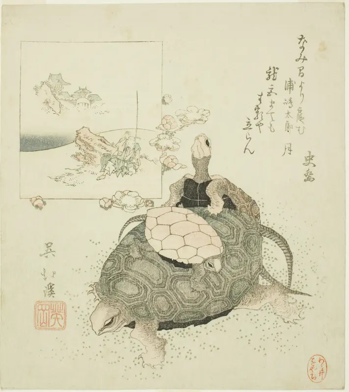 Sea turtles and Urashima Taro