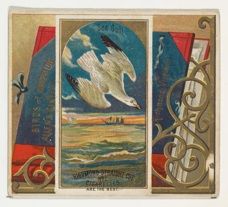 Seagull, from the Birds of America series (N37) for Allen & Ginter Cigarettes Wall Art by Allen & Ginter - High-Resolution Digital Print