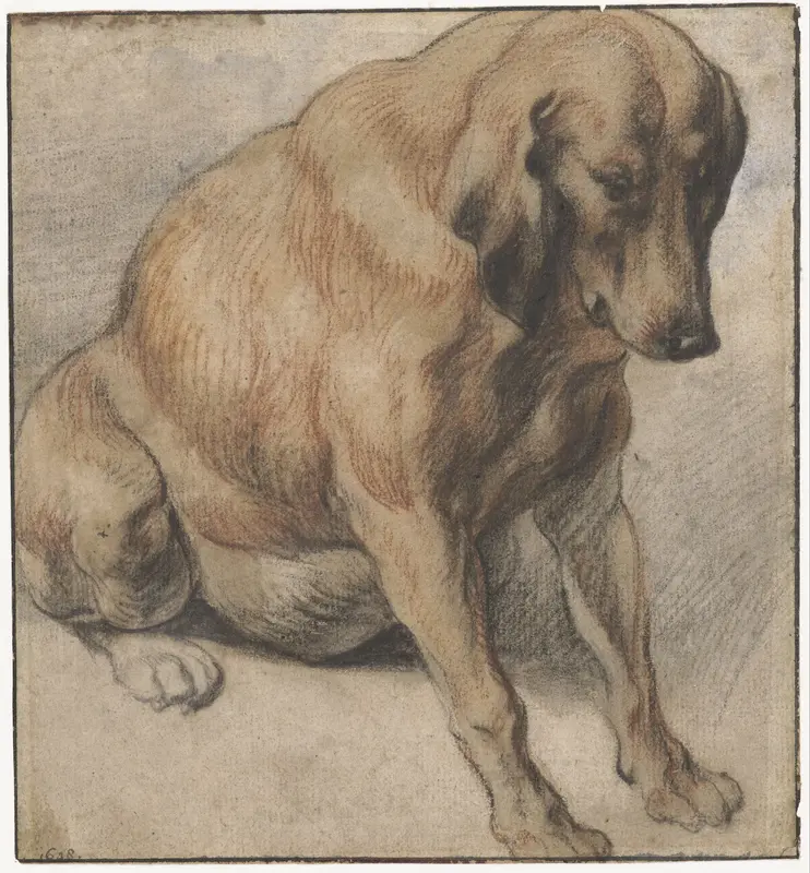 Seated Dog Wall Art by Jacques Jordaens - High-Resolution Digital Print