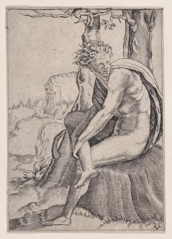 Seated Youth