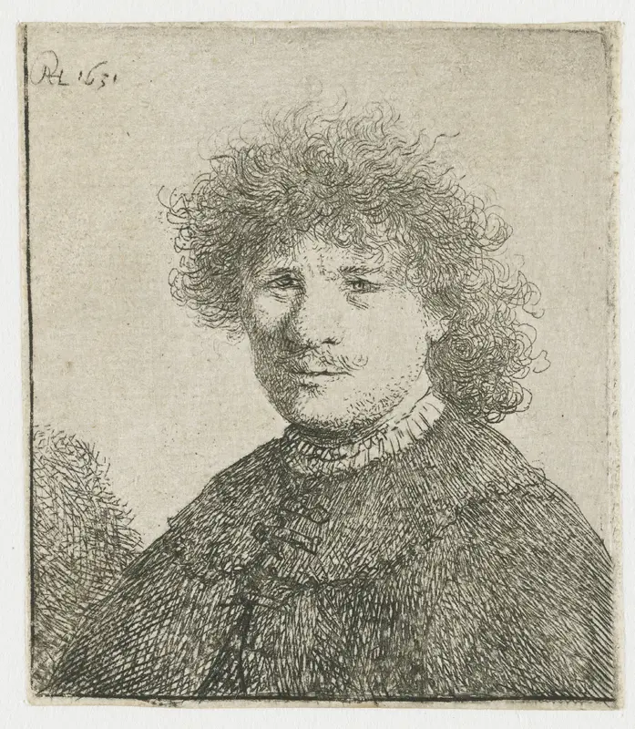 Self-portrait in a cloak with a falling collar: bust Wall Art by Unknown - High-Resolution Digital Print