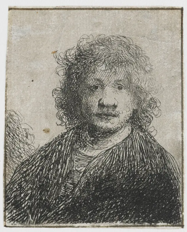 Self-portrait with a Broad Nose Wall Art by Rembrandt van Rijn - High-Resolution Digital Print