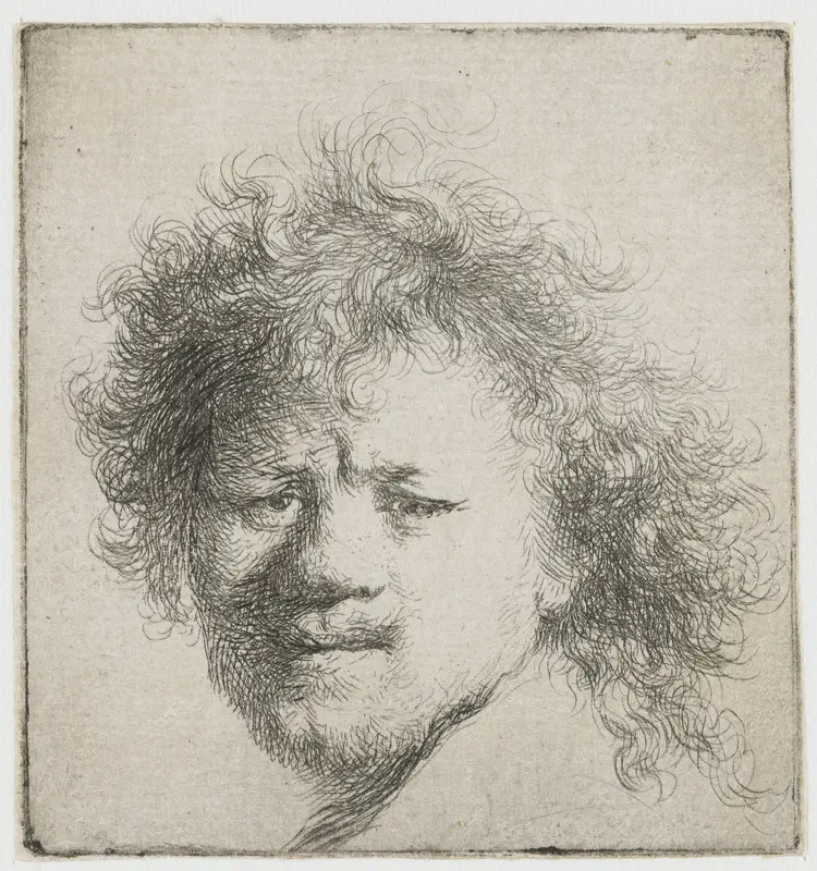Self-portrait with long bushy hair: head only Wall Art by Rembrandt van Rijn - High-Resolution Digital Print