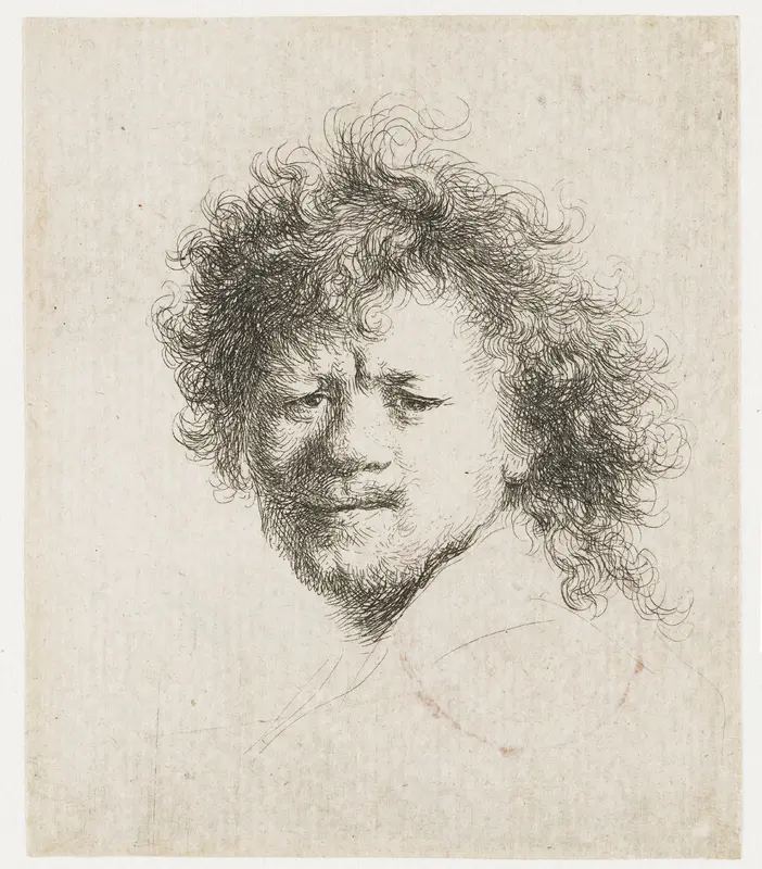 Self-portrait with Long, Bushy Hair Wall Art by Rembrandt van Rijn - High-Resolution Digital Print