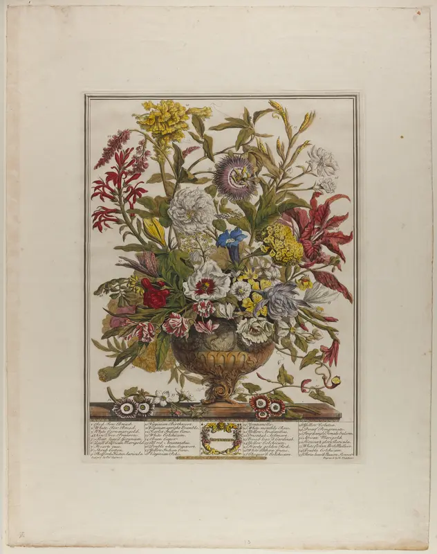 September, from Twelve Months of Flowers