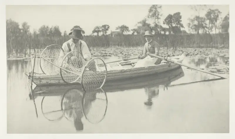 Setting the Bow-Net
