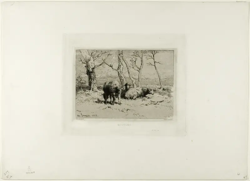 Sheep