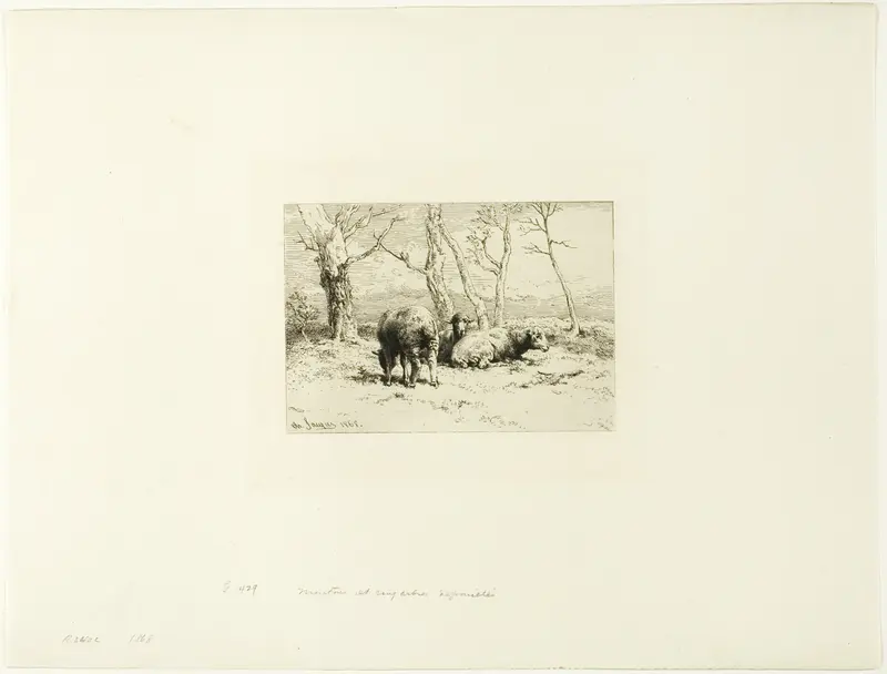 Sheep and Five Trees
