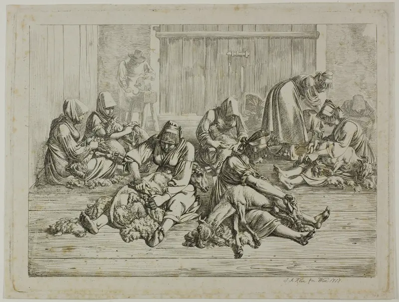 Sheepshearing