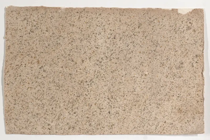 Sheet with an overall brown speckle pattern Wall Art by Anonymous - High-Resolution Digital Print