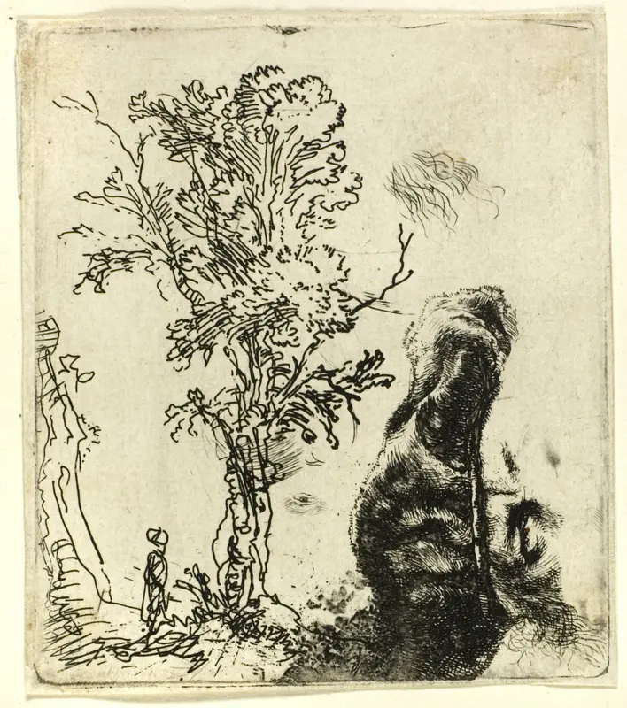 Sheet with Two Studies: A Tree, and the Upper Part of the Head of the Artist Wearing a Velvet Cap Wall Art by Rembrandt van Rijn - High-Resolution Digital Print