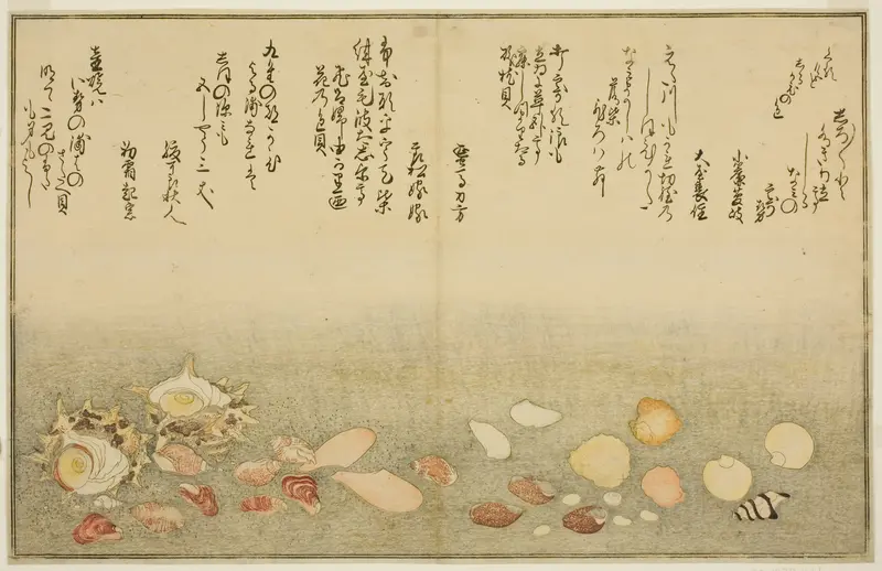 Shiro-gai, namima-gashiwa, makura-gai, iro-gai, aza-gai, sadae-gai, from the illustrated book "Gifts from the Ebb Tide (Shiohi no tsuto)"