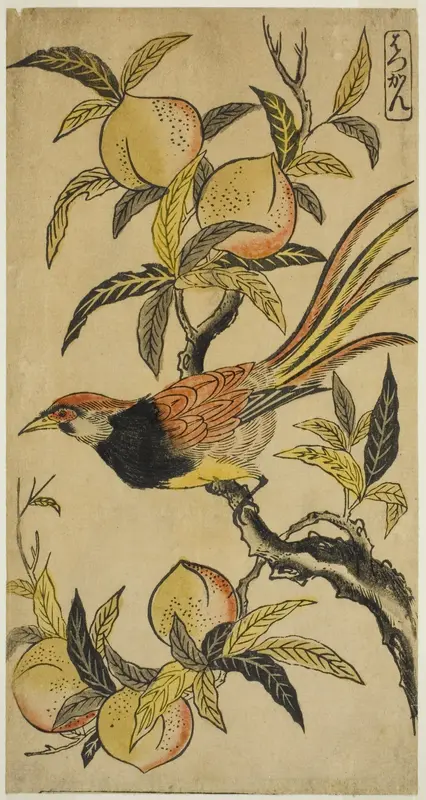 Silver Pheasant (Hakkan) Wall Art by Nishimura Shigenaga - High-Resolution Digital Print