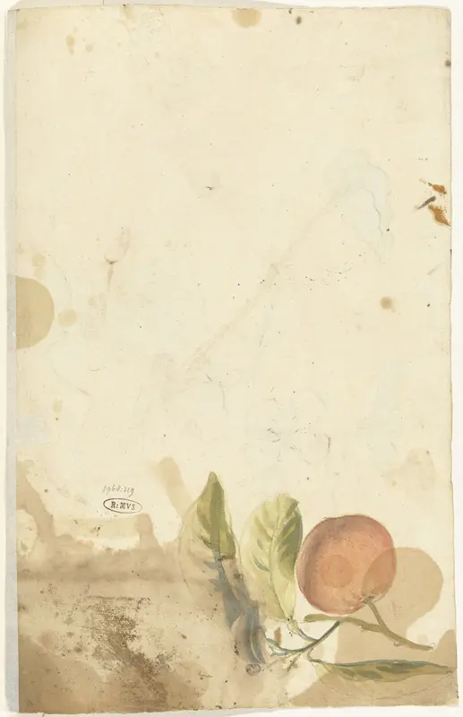 Sinaasappel Wall Art by Elias van Nijmegen - High-Resolution Digital Print