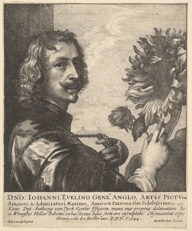 Sir Anthony Van Dyck with a Sunflower Wall Art by Wenceslaus Hollar - High-Resolution Digital Print