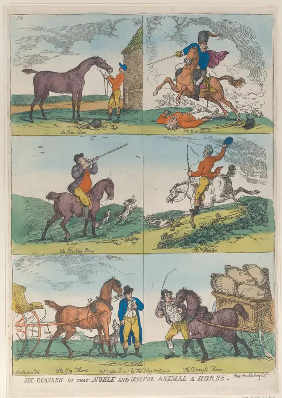 Six Classes of the Noble and Useful Animal a Horse Wall Art by Thomas Rowlandson - High-Resolution Digital Print