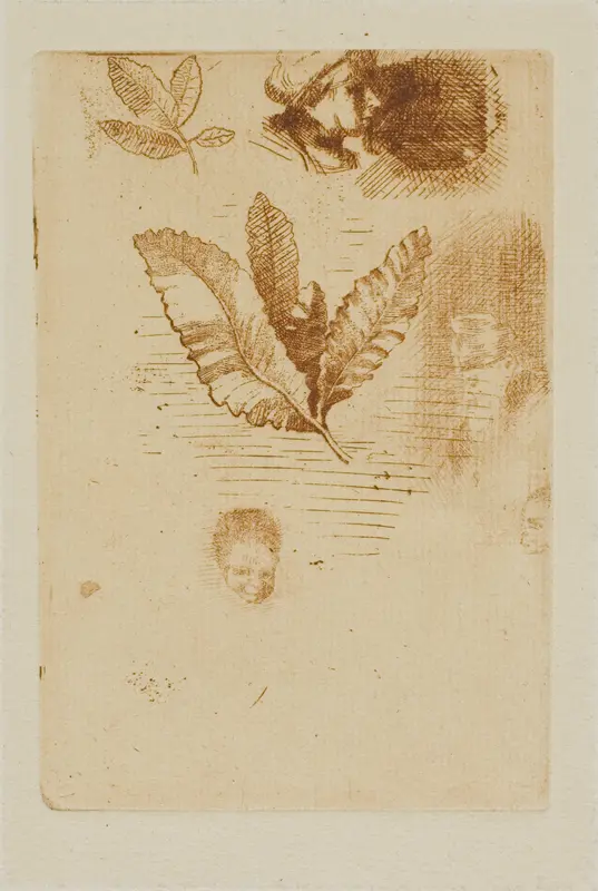 Sketches