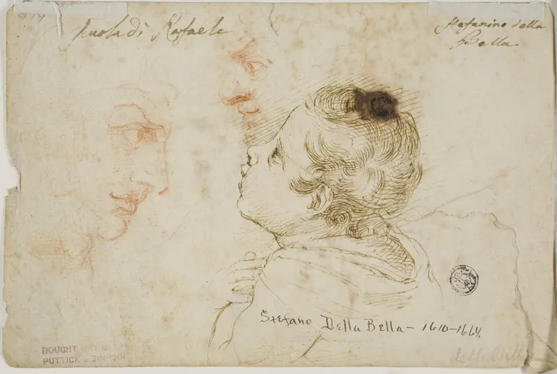 Sketches of Child Praying, Two Male Profiles (recto); Sketches of Male Heads (verso) Wall Art by Stefano della Bella - High-Resolution Digital Print