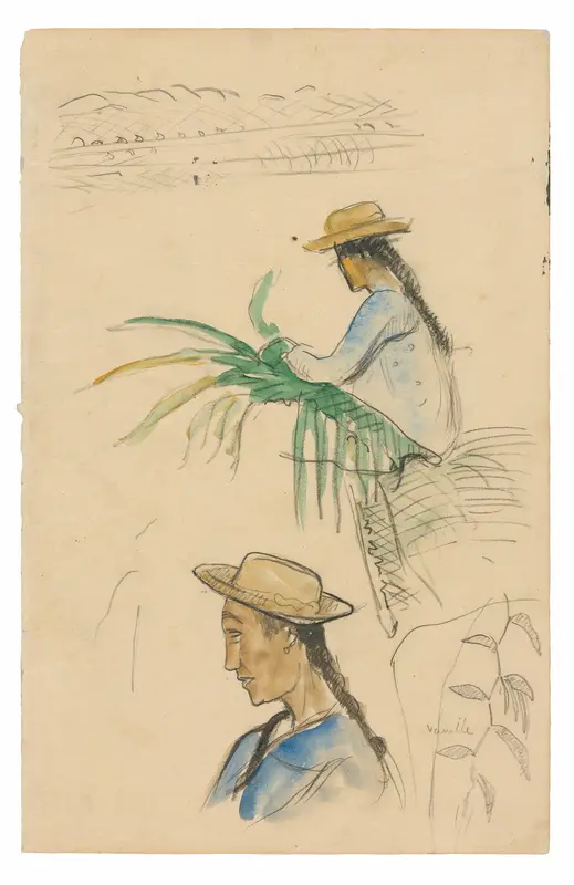 Sketches of Figures, Pandanus Leaf, and Vanilla Plant