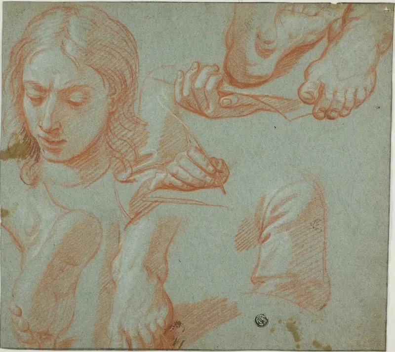 Sketches of Head, Hands, Shoulder, and Feet Wall Art by Style of Agostino Masucci - High-Resolution Digital Print