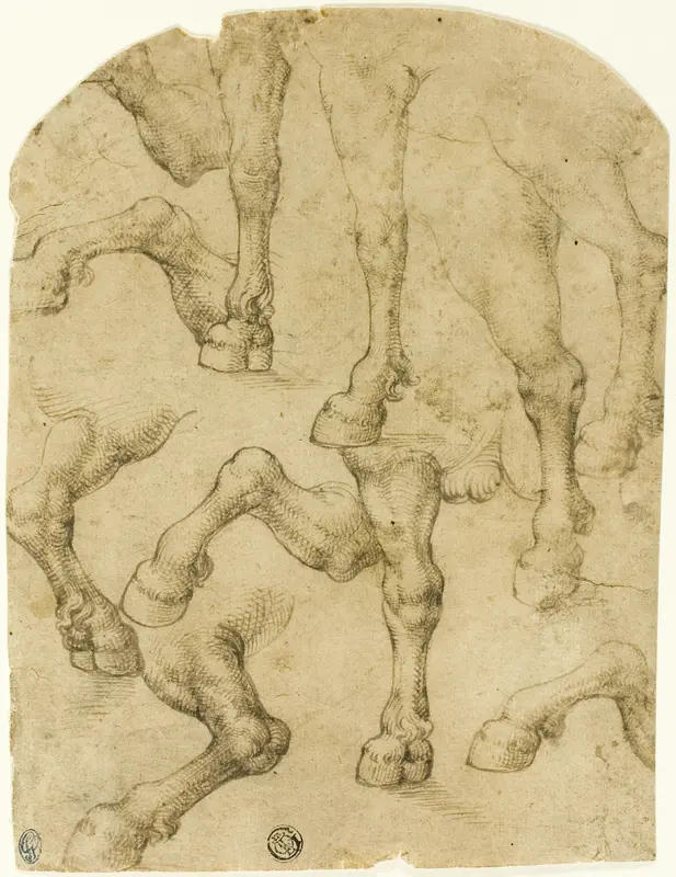 Sketches of Horses' (or Dromedaries') Legs (recto); Columns (verso) Wall Art by Follower of Leonardo da Vinci - High-Resolution Digital Print