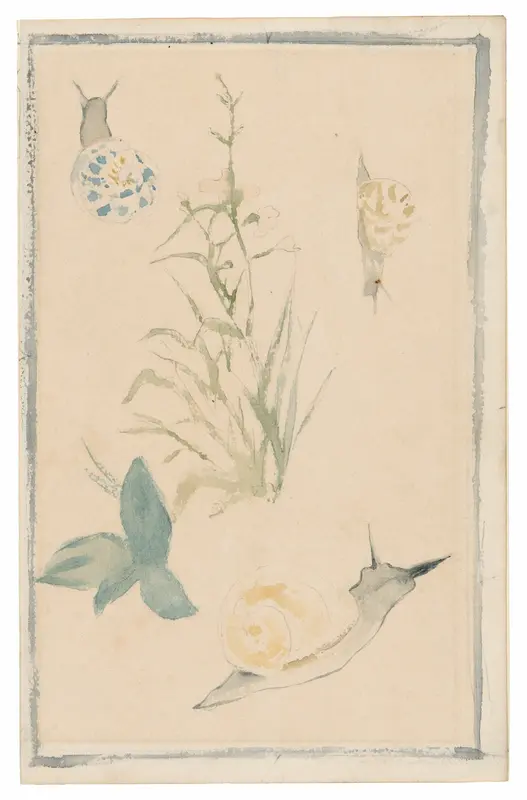 Sketches of Snails, Flowering Plant