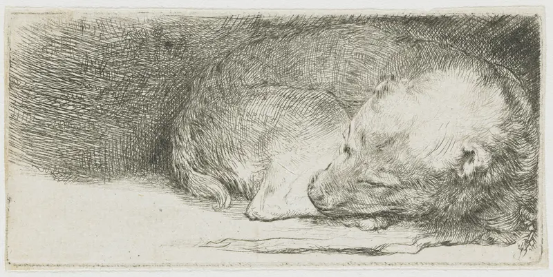 Slapend hondje Wall Art by Rembrandt van Rijn - High-Resolution Digital Print